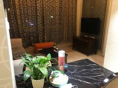 -正佳金殿维福顿公寓(广州正佳广场体育西路地铁站店)