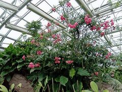 -北京植物园-展览温室
