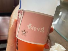 -春丽小马(济南恒隆广场店)