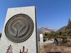 -泰山花样年华景区