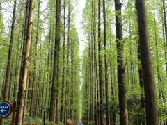 iphone_upload_pic-上海怡沁园度假酒店