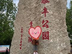 -泰丰公园