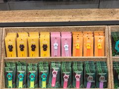 -line friends(明洞旗舰店)
