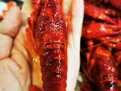 -靓靓蒸虾·头牌蒸虾(雪松路总店)