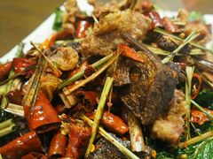 -福照楼汽锅鸡·云南菜(护国路店)