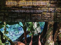 -浙江自然博物院(杭州馆)