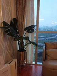 -茜尔维亚修身连锁(闵行莘庄店)