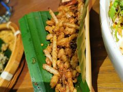竹虫-中8楼风尚云南菜(颐堤港店)