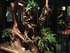 -余欢领鲜火锅(新街口店)