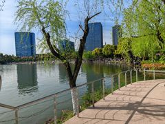-大宁公园