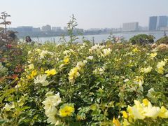 -立新湖公园