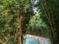 -森波拉火山温泉