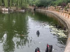 -石家庄市动物园