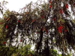 iphone_upload_pic-瞰胜楼