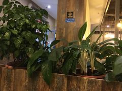 -润泽园海南椰子鸡·糟粕醋火锅(拱北店)