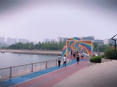 -琴岛之星摩天轮