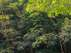 -本溪汤沟绿石谷森林公园