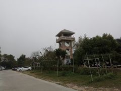 -长洲岛