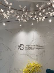 -潘多拉Hairsalon