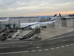 -米兰马尔彭萨国际机场