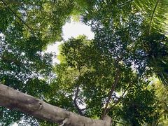 -85度C(厦门台湾街店)