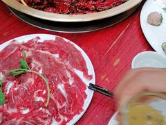 -小龙翻大江文化火锅(宽窄店)