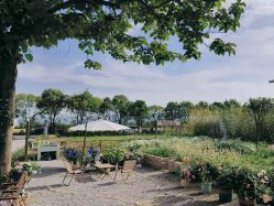 -DORA kids 朵拉儿童摄影花园店