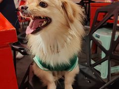-醉烧膘·烧烤夜宵王(总店)