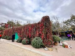 -水库活鱼馆(于桥水库店)