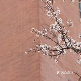 拍照必须～构图