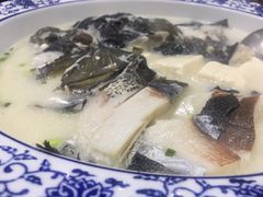 -全乐鱼馆·淳牌有机鱼直营店