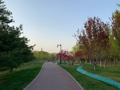 -北坞公园