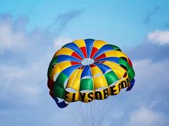 -邵年鸽(杨庄店)