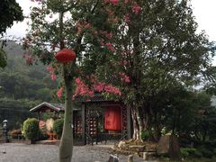 -广东天露山旅游度假区