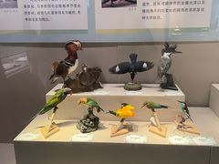 -台州博物馆