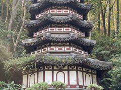 -深圳国际园林花卉博览园