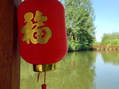 -溱湖国家湿地公园