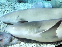 -福州罗源湾海洋世界旅游区