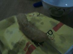 -口水鸡排(舞钢朱兰店)