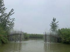 -泗洪洪泽湖湿地景区