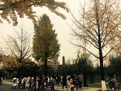 -西南民族大学南区(双流校区)