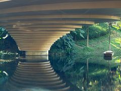 -云溪植物园