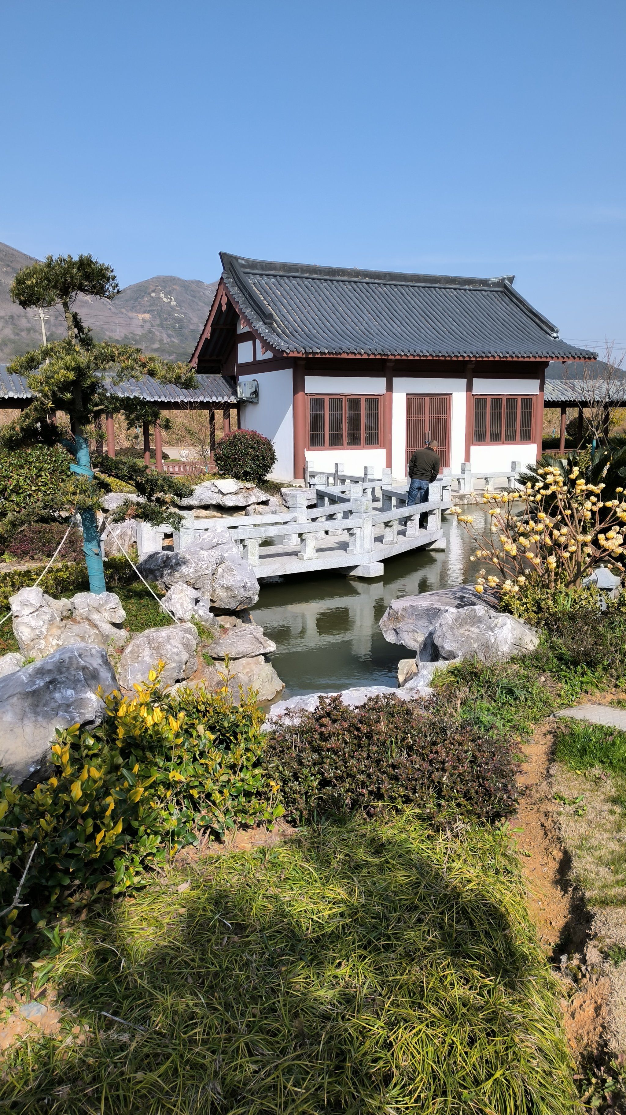 一整天都好了起来.没有负面情绪