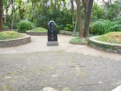 -上海佘山国家森林公园天马山园