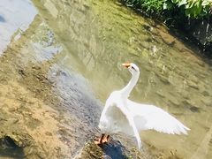 -会稽山峡洞漂流-上青古道