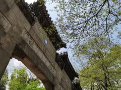 -灵谷景区