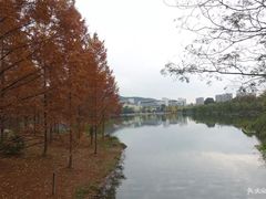 -浙江农林大学(东湖校区)