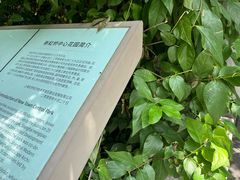 -新虹桥中心花园