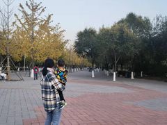 -北京园博大酒店