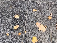 -穹六人间 people 6(岳阳路店)